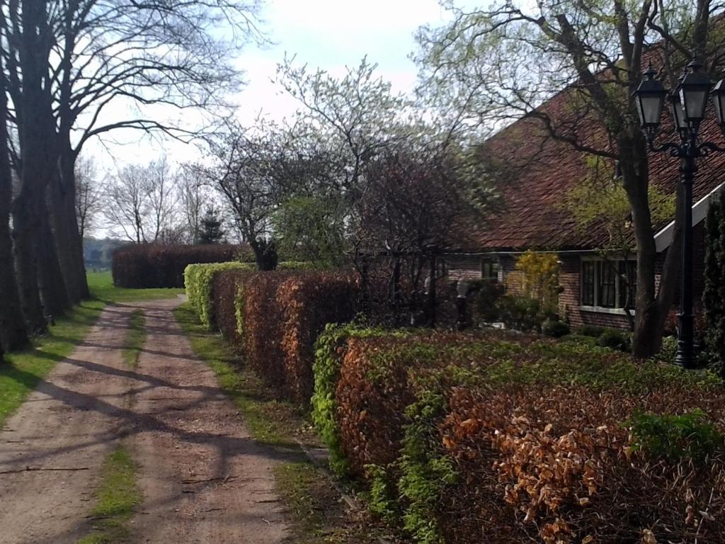 Bed & Breakfast Uiterburen Zuidbroek Luaran gambar